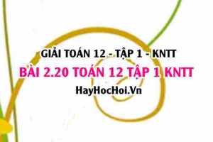 Giải 2.20 Toán 12 tập 1 SGK Kết nối tri thức